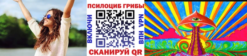 что такое наркотик  Новоульяновск  Галлюциногенные грибы Psilocybine cubensis 